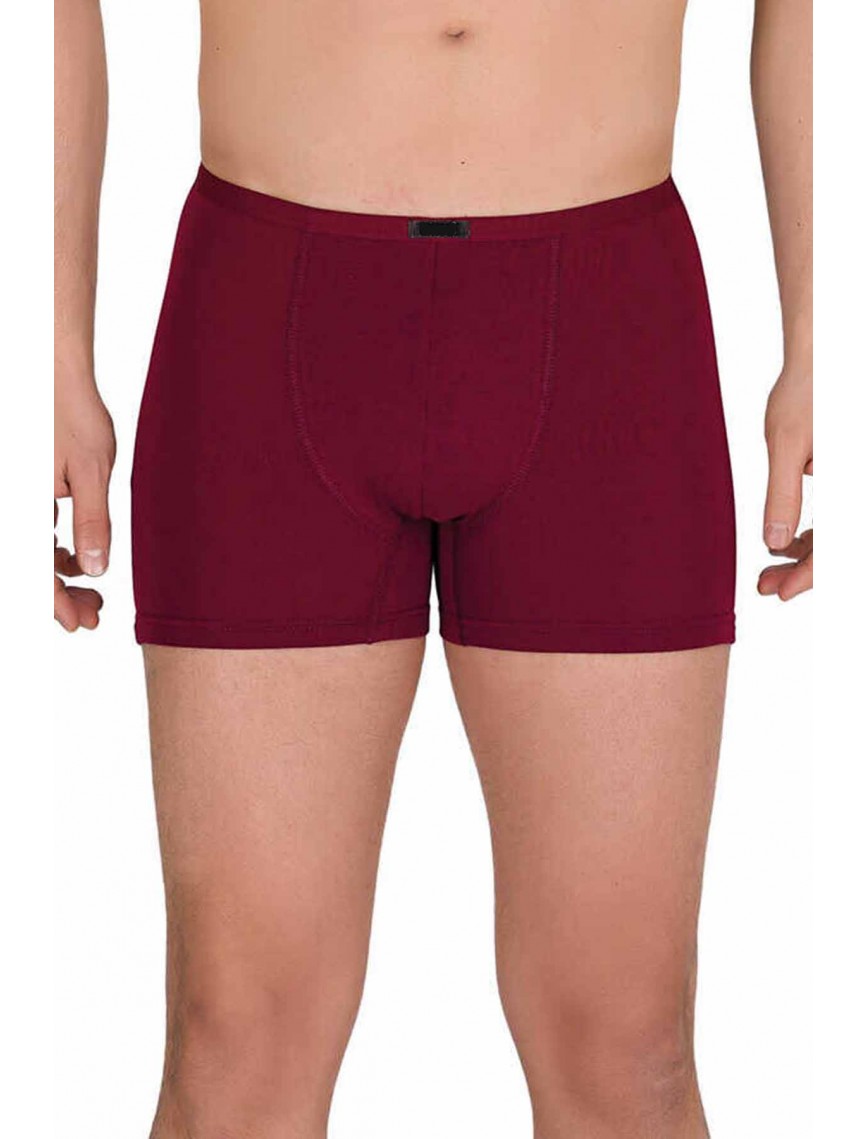 Erkek Modal Boxer Short Bordo 4488B